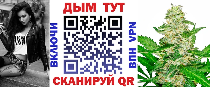 что такое   Аргун  blacksprut маркетплейс  Шишки марихуана планчик 